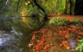 /album/fotogaleria/nature-autumn-00305715-jpg/