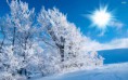 /album/fotogaleria/sunny-winter-jpg/