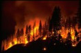 /album/fotogaleria/firewx1-jpg/
